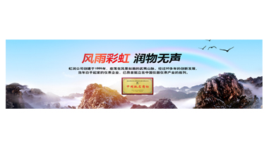 不經(jīng)風(fēng)雨何以見(jiàn)彩虹——在虹潤(rùn)圓夢(mèng)助學(xué)行動(dòng)座談會(huì)上的講話(huà)